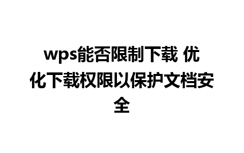 wps能否限制下载 优化下载权限以保护文档安全