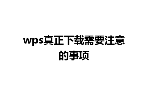 wps真正下载需要注意的事项