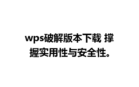 wps破解版本下载 撑握实用性与安全性。