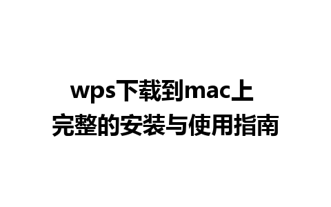 wps下载到mac上 完整的安装与使用指南