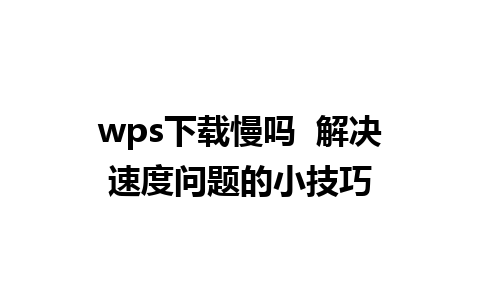 wps下载慢吗  解决速度问题的小技巧