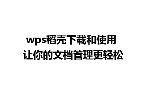 wps稻壳下载和使用 让你的文档管理更轻松