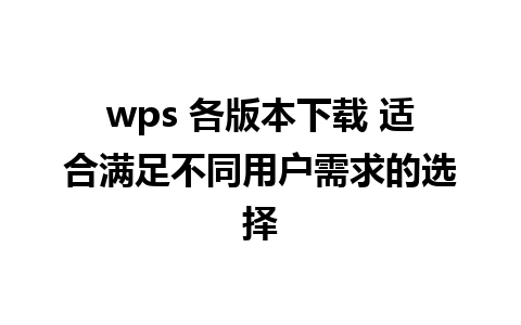 wps 各版本下载 适合满足不同用户需求的选择