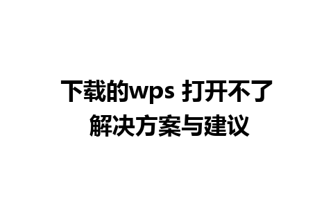 下载的wps 打开不了 解决方案与建议