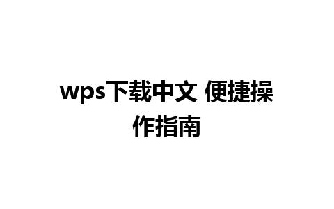 wps下载中文 便捷操作指南