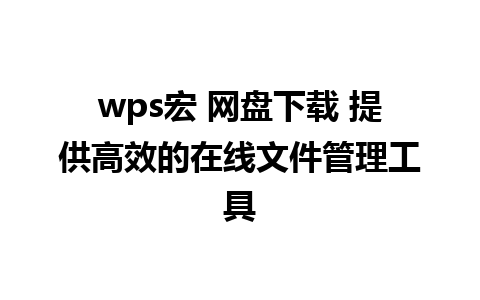 wps宏 网盘下载 提供高效的在线文件管理工具