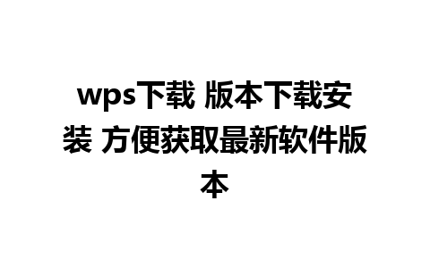 wps下载 版本下载安装 方便获取最新软件版本