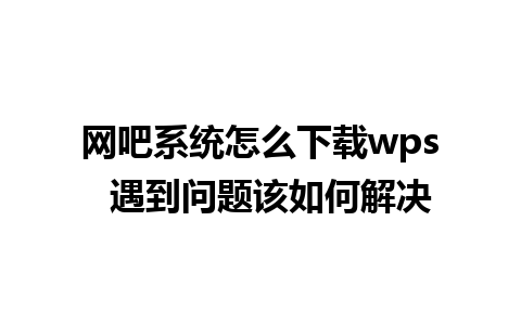 网吧系统怎么下载wps  遇到问题该如何解决