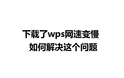 下载了wps网速变慢  如何解决这个问题