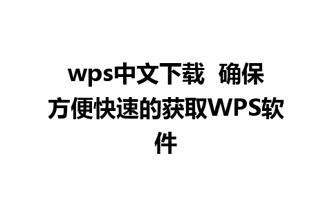 wps中文下载  确保方便快速的获取WPS软件