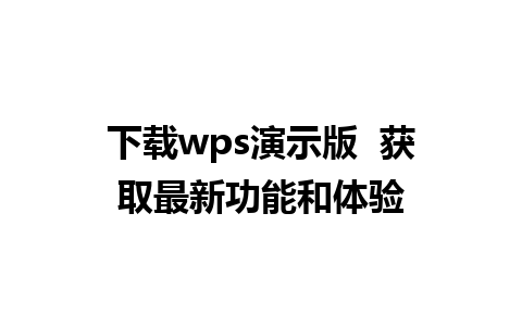 下载wps演示版  获取最新功能和体验