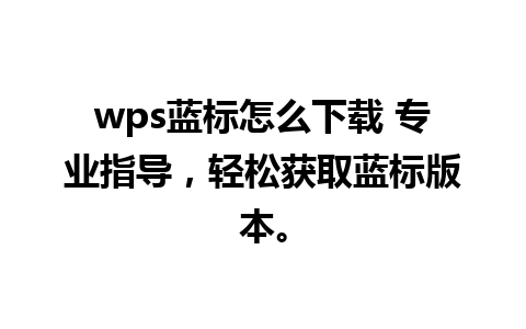 wps蓝标怎么下载 专业指导，轻松获取蓝标版本。