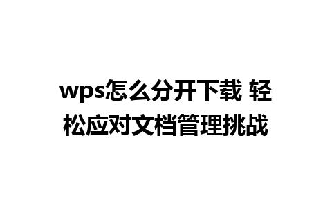 wps怎么分开下载 轻松应对文档管理挑战