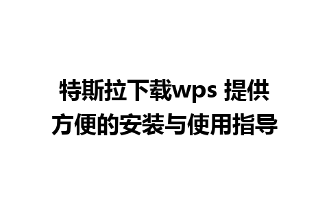 特斯拉下载wps 提供方便的安装与使用指导