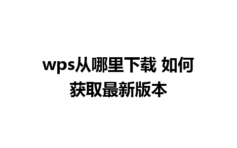 wps从哪里下载 如何获取最新版本