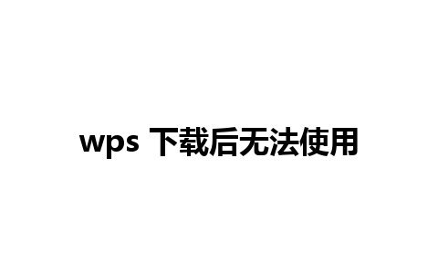 wps 下载后无法使用