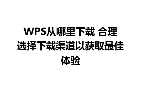 WPS从哪里下载 合理选择下载渠道以获取最佳体验