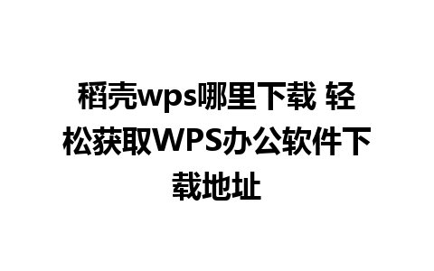 稻壳wps哪里下载 轻松获取WPS办公软件下载地址