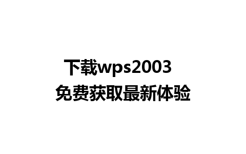 下载wps2003  免费获取最新体验