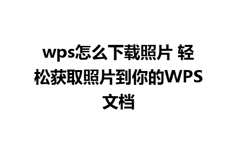 wps怎么下载照片 轻松获取照片到你的WPS文档