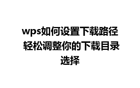 wps如何设置下载路径 轻松调整你的下载目录选择