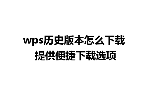 wps历史版本怎么下载 提供便捷下载选项