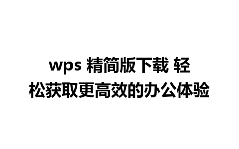 wps 精简版下载 轻松获取更高效的办公体验