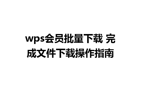 wps会员批量下载 完成文件下载操作指南