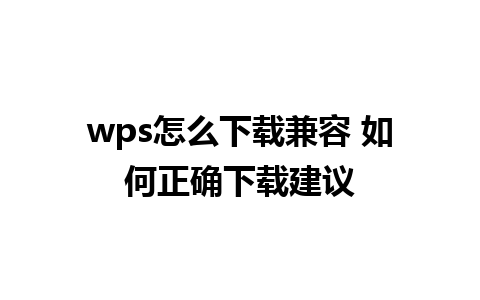 wps怎么下载兼容 如何正确下载建议