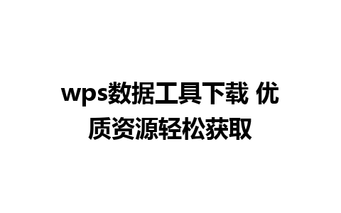 wps数据工具下载 优质资源轻松获取