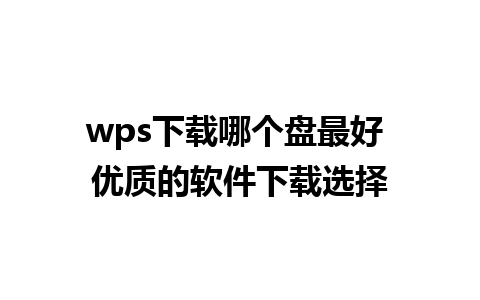 wps下载哪个盘最好 优质的软件下载选择