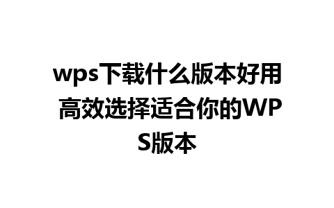 wps下载什么版本好用 高效选择适合你的WPS版本