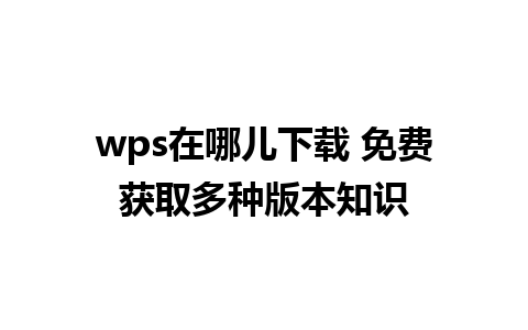 wps在哪儿下载 免费获取多种版本知识