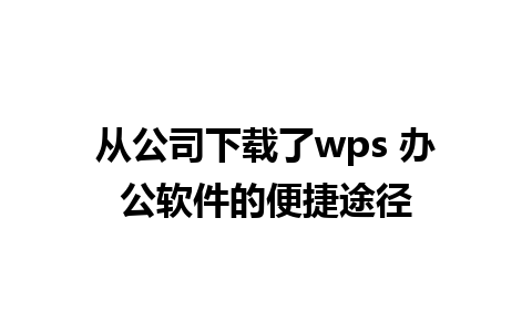 从公司下载了wps 办公软件的便捷途径