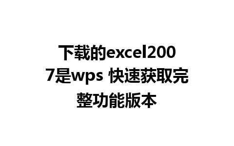 下载的excel2007是wps 快速获取完整功能版本