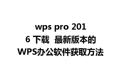 wps pro 2016 下载  最新版本的WPS办公软件获取方法