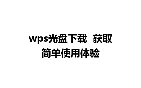 wps光盘下载  获取简单使用体验