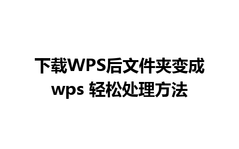 下载WPS后文件夹变成wps 轻松处理方法