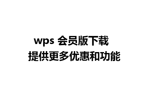 wps 会员版下载  提供更多优惠和功能