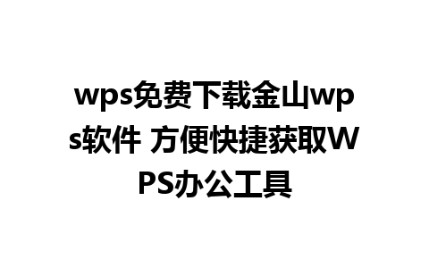 wps免费下载金山wps软件 方便快捷获取WPS办公工具