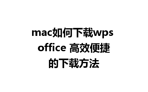 mac如何下载wps office 高效便捷的下载方法