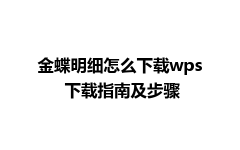 金蝶明细怎么下载wps 下载指南及步骤