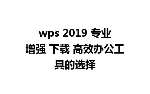 wps 2019 专业增强 下载 高效办公工具的选择