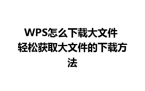 WPS怎么下载大文件 轻松获取大文件的下载方法