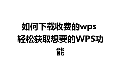 如何下载收费的wps 轻松获取想要的WPS功能