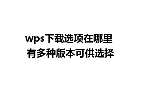 wps下载选项在哪里 有多种版本可供选择