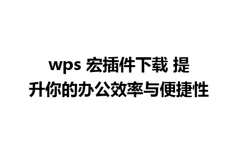 wps 宏插件下载 提升你的办公效率与便捷性