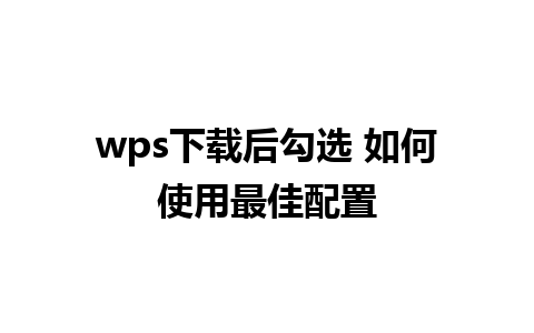 wps下载后勾选 如何使用最佳配置