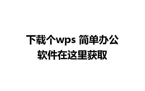 下载个wps 简单办公软件在这里获取