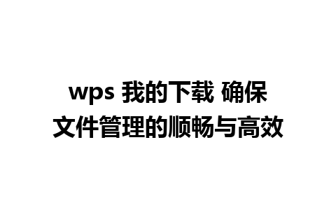 wps 我的下载 确保文件管理的顺畅与高效